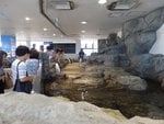 243_aquarium_0673.jpg