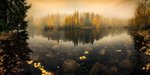 i magici riflessi del mattino1 , by Lauri Lohi.jpg