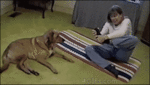 0909_9f32.gif