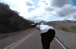 5987_b866.gif