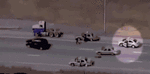 x4mdkufKR1t95h1uo1_400.gif