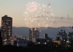 288_Festival Fireworks_0799.jpg