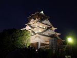 289_Osaka castle_0811.jpg