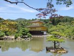 300_Kinkaku-ji Temple_0838.jpg