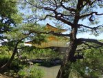 308_Kinkaku-ji Temple_0853.jpg