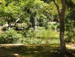 311_Kinkaku-ji temple_0861.jpg