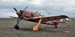 nfCm5o1qgggino1_1280.jpg