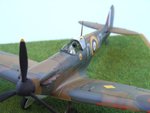 Dscf1009 r800.jpg
