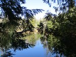 IMG_0046.jpg