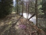 IMG_0057.jpg