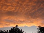 IMG_2682.JPG