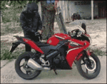 s1t95h1uo1_400.gif
