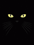 5753_397a.gif