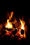 5LKMx1sd2f8bo1_500.gif