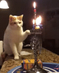 1tnurlqr1u545pyo1_400.gif