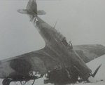 Russian Hurricane_White 13_3196.jpg