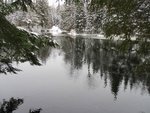 IMG_0098.jpg