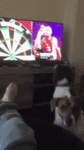 cqmjhlD1tq9q5vo1_400.gif