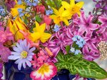 Spring Flowers From the Garden2.jpg