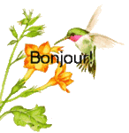bonjour.gif