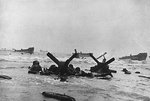 Capa - D-Day - Hedgehogs (internet).jpg