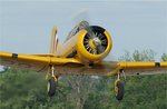 Harvard3.jpg