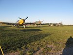 IMG_0312_1_1.JPG