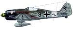 fw190_black8.jpg