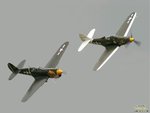 P-39 Aircobra and P-40 Warhawk.jpg