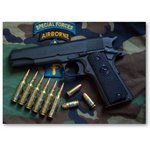 5th_green_berets_special_forces_group.jpg