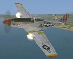 P-51DAmericanBeautyb.JPG