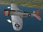 P-47_Rabbitb.JPG