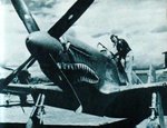 p-51b_tex.jpg