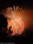 DSC_6266.jpg