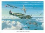 Spitfire Battle.jpg
