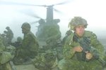 ppcli_8_169.jpg