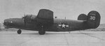 wrp1_279.jpg