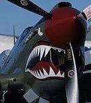 shark_374.jpg