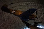 shark2_182.jpg