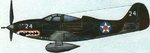 p-39__shark_240.jpg