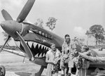 spitfire_-shark_133.jpg