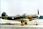 p400__shark_191.jpg