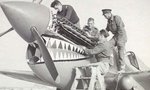 p-40__shark_904.jpg