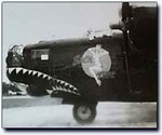 b24_shark_124.jpg