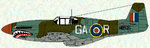 p-51b__shark_188.jpg