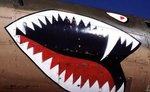 f-105g__shark_186.jpg