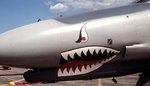 f-4e_190.jpg