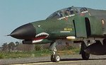 f4-shark_206.jpg