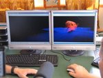 gz8.jpg