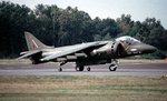 Harrier 5 ZD409_06 of 1 Sqn_.jpg